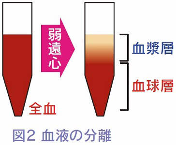 血液の分離