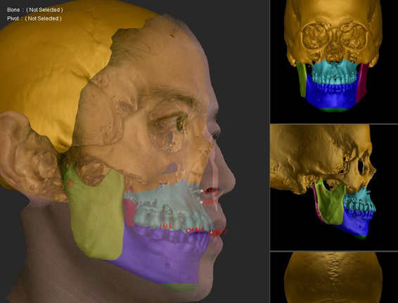 シュミレーションデモ画像4