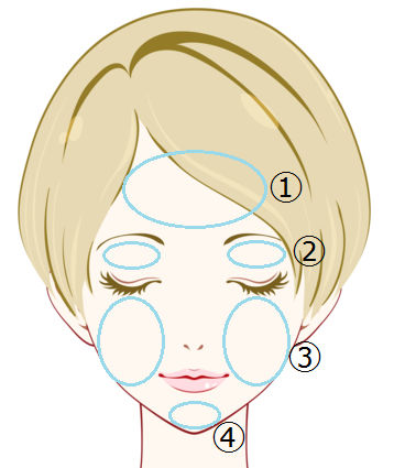 脂肪注入箇所イラスト